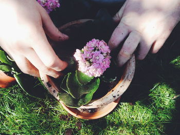 Cropped hands planting flower in pot at yard