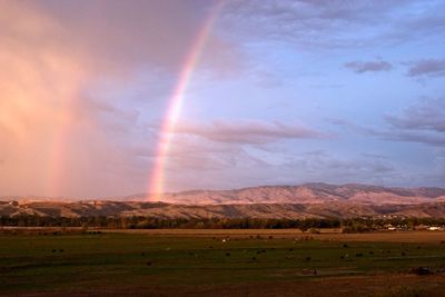 Scenic view of rainbow over field against sky