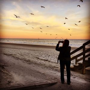 Rear view of woman photographing birds at beach against sky during sunset