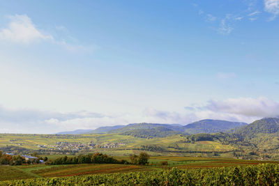 Scenic view of agricultural field against sky