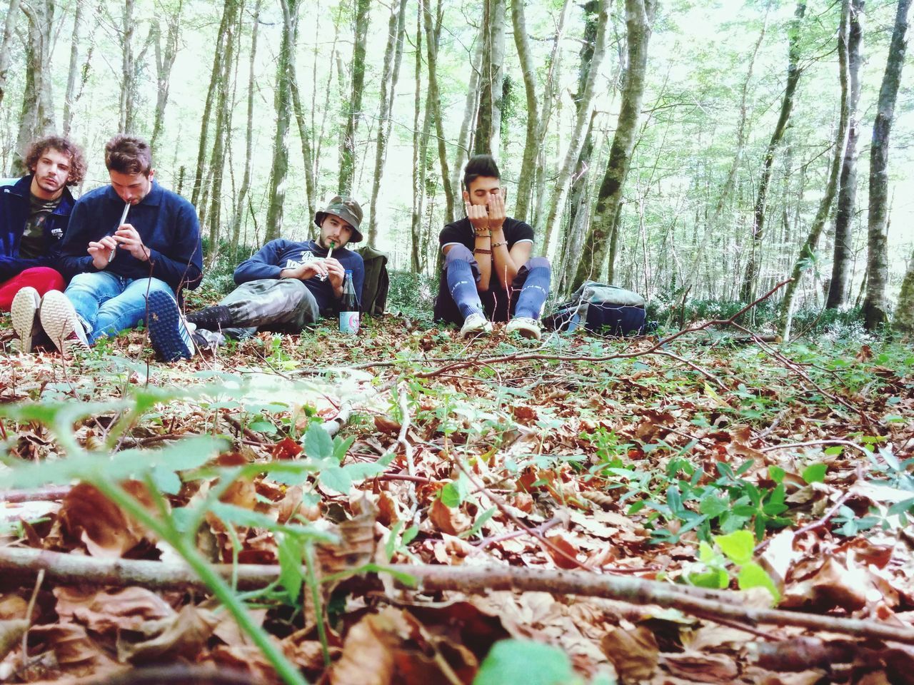 lifestyles, leisure activity, casual clothing, tree, person, young adult, forest, sitting, young men, togetherness, full length, men, bonding, smiling, nature, standing