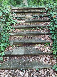 View of staircase