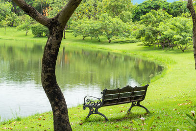 Empty bench in park by lake