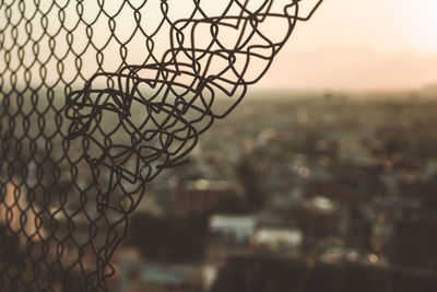 Close-up of chainlink fence