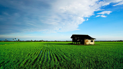 Barn on field against sky