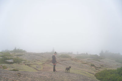 View of a horse on field