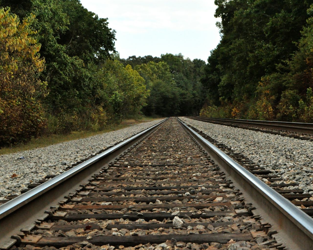 railroad track, rail transportation, tree, transportation, the way forward, diminishing perspective, vanishing point, railway track, public transportation, stone - object, straight, day, sky, no people, nature, growth, gravel, tranquility, outdoors, long