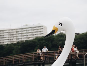 Swan on shore against sky