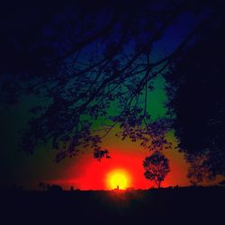 Silhouette of trees at sunset