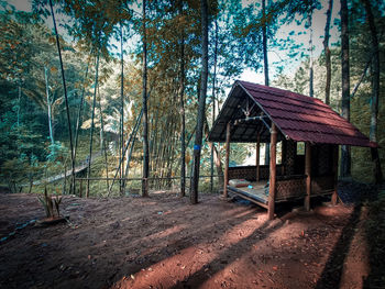 Wooden hut in forest