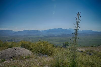 Scenic view of field against sky