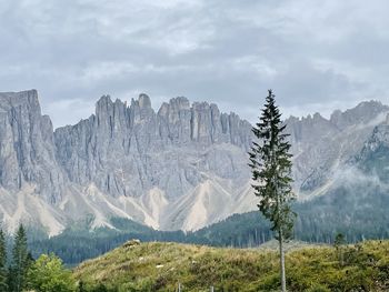Panoramic view of trees and mountains against sky