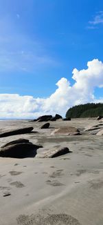 Scenic view of beach against blue sky