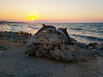 Driftwood on rocks at beach against sky during sunset
