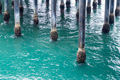 Wooden post in sea