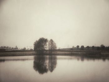 Reflection of trees in water