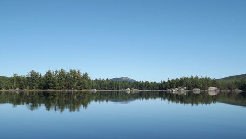 Reflection of trees in calm lake