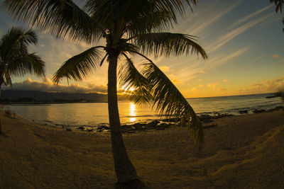 Scenic view of sea during sunset