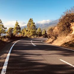 Empty road amidst trees against sky