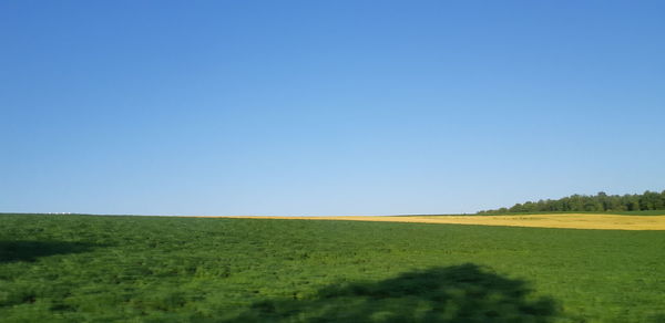 Scenic view of field against clear blue sky