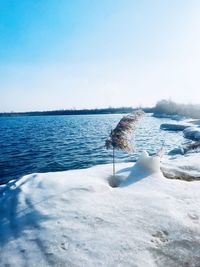 Scenic view of sea against clear sky during winter