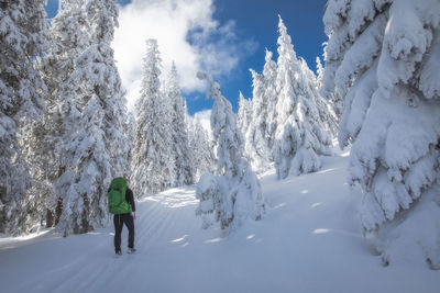 Rear view of person walking on snowcapped mountain