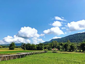 Scenic view of agricultural field against sky