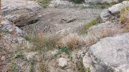 High angle view of rock formation on land