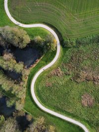 Curvy road in the green