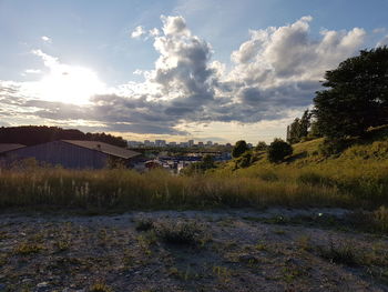 Houses by trees against sky