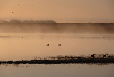 Scenic view of mist covered lake against sky during sunrise