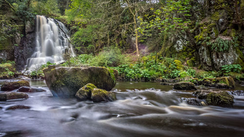 Scenic view of waterfall in forest