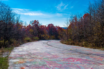 Multi colored trees against sky