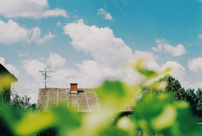 Low angle view of tree and building against sky