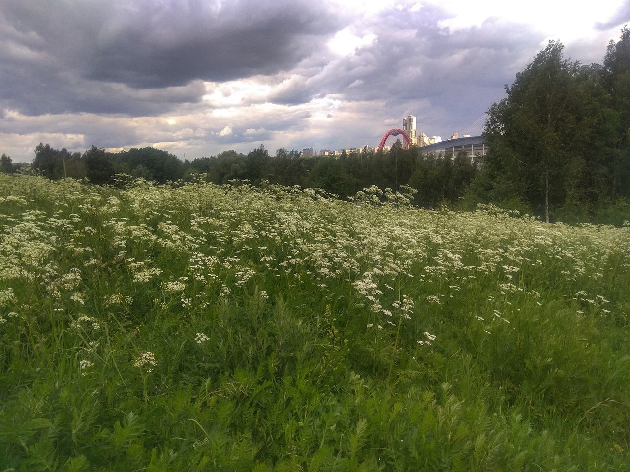 plant, cloud - sky, sky, field, land, growth, grass, nature, landscape, beauty in nature, environment, green color, tree, tranquility, tranquil scene, day, architecture, scenics - nature, building exterior, no people, outdoors