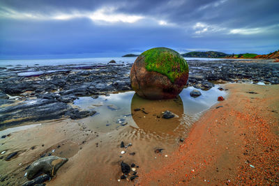 Scenic view of beach against sky