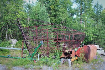 Abandoned and trees in forest