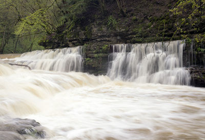 Scenic view of waterfall in forest
