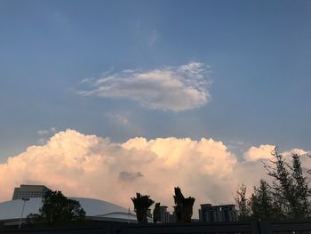 Low angle view of silhouette trees and buildings against sky