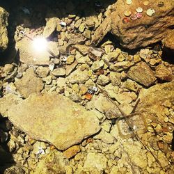 Close-up of rocks in water