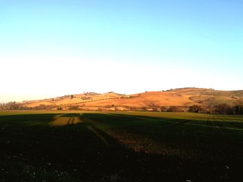 Scenic view of field against clear sky