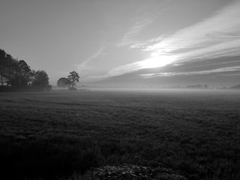 Scenic view of field against sky