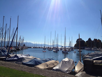 Boats moored at harbor against clear sky on sunny day