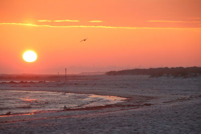 Scenic view of sunset over sea