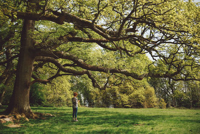 Full length of woman standing by trees at park