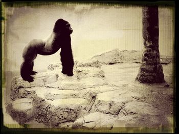 auto post production filter