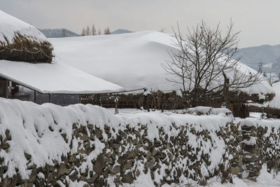 Trees on snow covered landscape