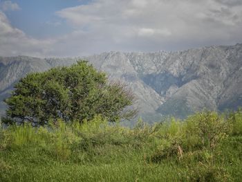 Scenic view of landscape and mountains against sky