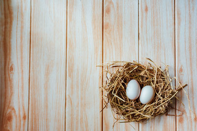 High angle view of eggs in nest