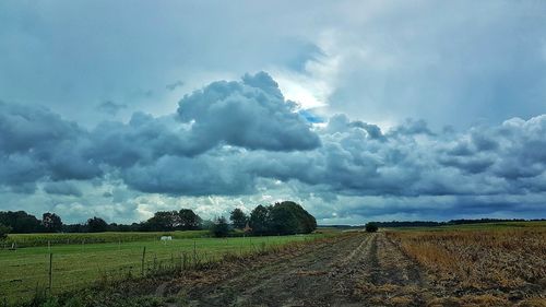 Scenic view of agricultural field against sky